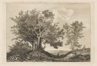 Camino rural entre los dos árboles.