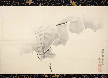 Garzas blancas, 1769