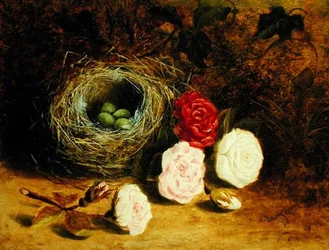 Naturaleza muerta de nido de pájaro y rosas