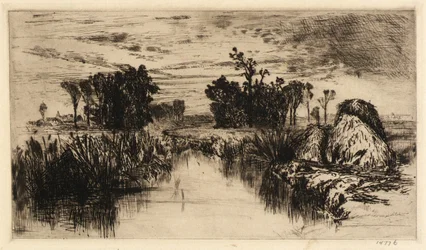 Eneas y árboles