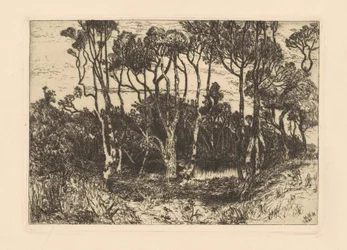 Soledad