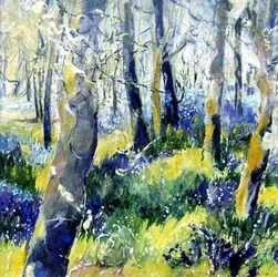 Campanillas azules y amarillas