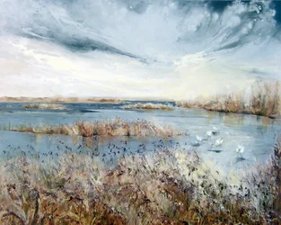 Brisas de Norfolk