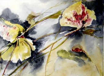 hojas de lirio flotando