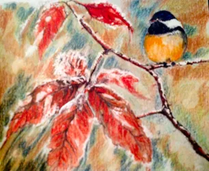 Pajarito en invierno
