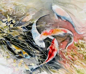 Peces entrelazados