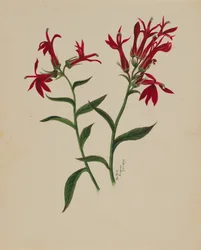 Sin título--Estudio de flores, 1876