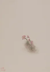 Sin título - Estudio de flores