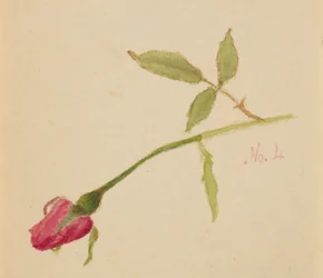 Sin título (Rosa)
