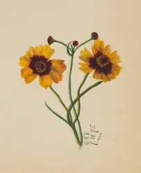 Sin título, 1875