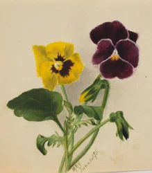 Sin título, Pensamientos, 1875