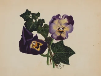 Sin título Pensamientos y Hiedra, 1876