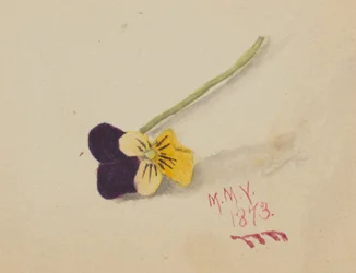 Sin título Pansy, 1873