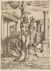 Hombre Contra un Árbol, ca. 1543-44
