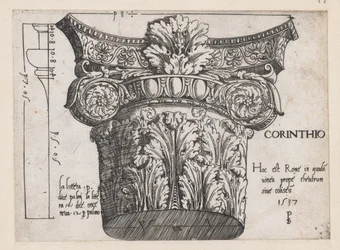 Speculum Romanae Magnificentiae: Capitel corintio, 1537