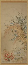 Flores y hierbas