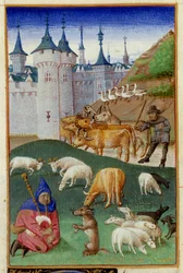 Animales de la granja y gaiteros Miniatura extraída de "El Rusticano o Libro de las Ganancias del Campo y de lo Rural" de Pietro de Crescenzi (Piedra de la Media Luna o Piedra de Crescens) (1233-1320) iluminada por el Maestro de la Boccace de Ginebra llama