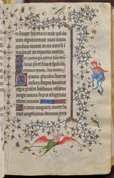 Horas de Carlos el Noble, rey de Navarra (1361-1425): fol. 31r, Texto