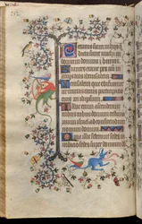 Horas de Carlos el Noble, rey de Navarra (1361-1425): fol. 76v, Texto