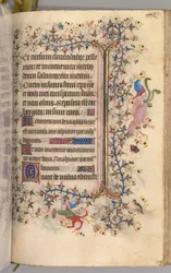 Horas de Carlos el Noble, Rey de Navarra 1361-1425: fol. 237r, Texto