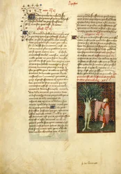 Harley 4431, f.134v Apolo y Dafne, de las 