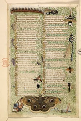 Agregar. 28841, f.4: Avispas, polillas, libélulas y una oruga, de un Tratado sobre las virtudes y los vicios, y una historia anónima en prosa de Sicilia (fragmento), c.1330-40 (vitela)