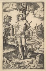 San Sebastián atado a un árbol atravesado por flechas, 1530-60