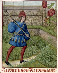 El Amante, en el jardín, cuida de la Rosa.
