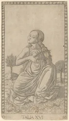 Talia