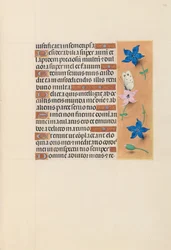 Horas de la Reina Isabel la Católica, Reina de España: Fol. 102r, c. 1500