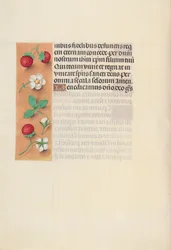 Horas de la Reina Isabel la Católica, Reina de España: Fol. 125v, c. 1500