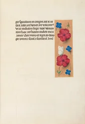 Horas de la Reina Isabel la Católica, Reina de España: Fol. 16r, c. 1500