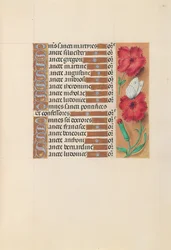 Horas de la Reina Isabel la Católica, Reina de España: Fol. 212r