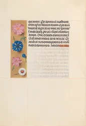 Horas de la Reina Isabel la Católica, Reina de España: Fol. 218v, Oficio de Difuntos, c. 1500