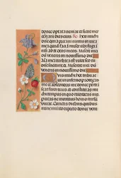 Horas de la Reina Isabel la Católica, Reina de España: Fol. 238v, c. 1500