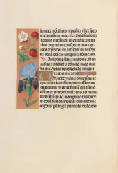 Horas de la Reina Isabel la Católica, Reina de España: Fol. 245v