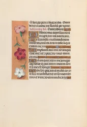 Horas de la Reina Isabel la Católica, Reina de España: Fol. 246v, c. 1500