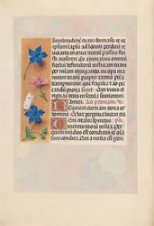 Horas de la Reina Isabel la Católica, Reina de España: Fol. 25v, c. 1500