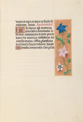 Horas de la Reina Isabel la Católica, Reina de España: Fol. 30r, c. 1500