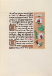 Horas de la Reina Isabel la Católica, Reina de España: Fol. 35r, c. 1500