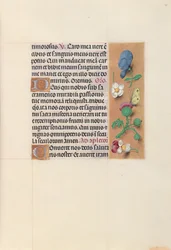 Horas de la reina Isabel la Católica, reina de España: Fol. 48r, c. 1500