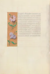 Horas de la Reina Isabel la Católica, Reina de España: Fol. 49v, c. 1500