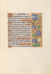 Horas de la Reina Isabel la Católica, Reina de España: Fol. 59r, c. 1500