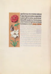Horas de la Reina Isabel la Católica, Reina de España:  Fol. 76v