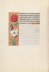 Horas de la Reina Isabel la Católica, Reina de España: Fol. 76v, c. 1500