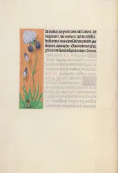 Horas de la Reina Isabel la Católica, Reina de España: Fol. 79v, c. 1500
