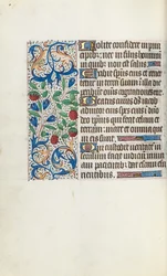 Libro de Horas Uso de Rouen: fol. 108v, c. 1470
