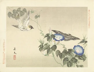 Dos pájaros volando por enredadera azul Bocetos de flores y pájaros de Keibun - tercera parte (título de la serie) Keibun kacho gafu kohen (título de la serie sobre el objeto)