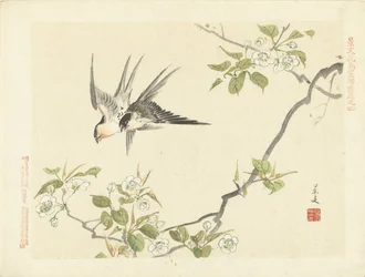 dos golondrinas Bocetos de flores y pájaros de Keibun, primera parte (título de la serie) Keibun kacho gafu zen pen (título de la serie en el objeto)