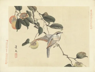 Pájaro y caqui Bocetos de flores y pájaros de Keibun, primera parte (título de la serie) Keibun kacho gafu zen pen (título de la serie en el objeto)